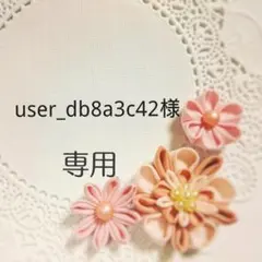 user_db8a3c42様 リクエスト 3点 まとめ商品