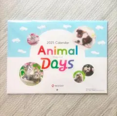 Item thumbnail for item e91553a3-9435-402d-8b74-f1d5665d2f93