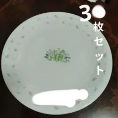 2026年最新】コレール 花柄の人気アイテム - メルカリ