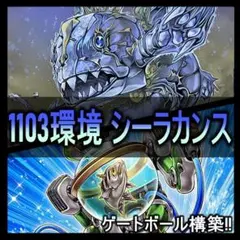 d313 1103環境 シーラカンス　デッキ ゲートボール　本格構築済みデッキ