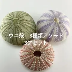 Item thumbnail for item 9c36a845-751b-4c55-81b2-c91a26617fd2