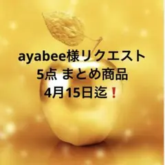 ayabee様 リクエスト 5点 まとめ商品