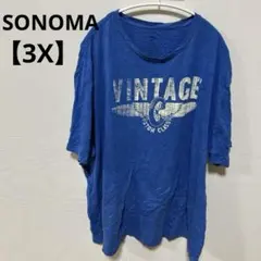 SONOMA 【3X】ソノマ　VINTAGEプリント　ブルーTシャツ サイズ 青