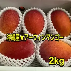 おすすめマンゴー&ドラゴンフルーツ(2箱セット)クール発送のサムネイル