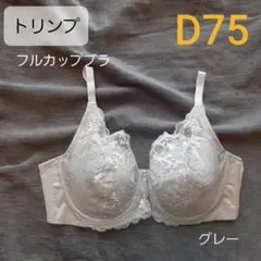 Item thumbnail for item a2e1495d-e62a-4abb-9ca5-e4682617b386