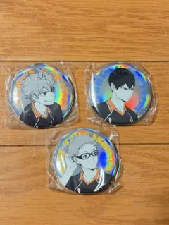 ハイキュー!! ポートレートシャイニー缶バッジ