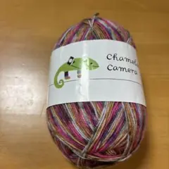 ごしょう産業カメレオンカメラ 14