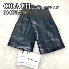 【未使用品✨】コーチ COACH グローブ 手袋 レザー 54182 黒