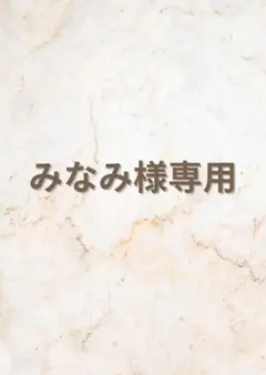 みなみ様専用