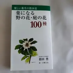沖縄教材植物図鑑ー路傍の草木ー 多和田真淳監修 - メルカリ