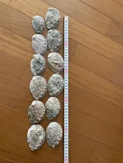 Item thumbnail for item 8c3cbbea-6162-48e3-85e6-81789efa93cd