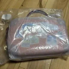 東京ディズニーリゾート バケーションパッケージ トランク型ポーチ　新品未使用
