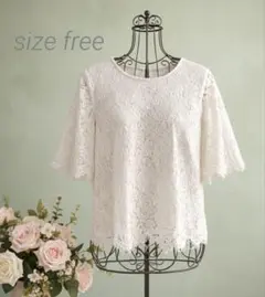 入学式 総レース ブラウス オフホワイト 七分袖 上品 オケージョン