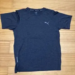 Item thumbnail for item 71b3525c-45e1-48d5-87f6-533a85c4031f