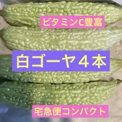 朝採り白ゴーヤ　４本 宅急便コンパクトいっぱいのサムネイル
