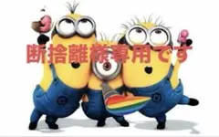 専用ページですm(_ _)m THE NORTH FACEのSMALL DAY