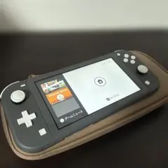 【動作確認済】Nintendo Switch Lite 本体 グレー