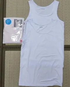 Item thumbnail for item acd0ae82-142f-40aa-a64b-15824897f7b3