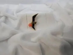本珊瑚 鳥モチーフ ペンダントトップのサムネイル