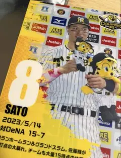 阪神タイガース 2023 優勝記念クリアファイル 佐藤輝明