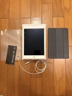 iPad mini5 Wi-Fi+Cellular 256GB本体 + 付属品