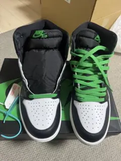 Nike Air Jordan 1 27.0 試し履きのみ エアージョーダン1