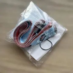 신품, 미개봉 스시로 다코즈시 넥 스트랩