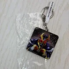 仮面ライダー ビジュアルアートコレクション アギト