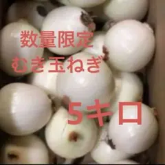 淡路島　玉ねぎ　むき玉ねぎ　5キロ　淡路島たまねぎのサムネイル