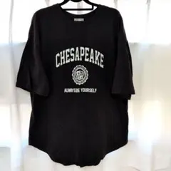 GLACIER ブラック Tシャツ Lサイズ CHESAPEAKEのサムネイル