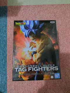 Item thumbnail for item d6780067-bc18-4d81-a518-3994a0f72f3d