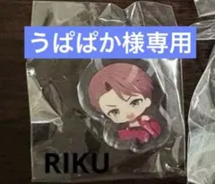 うぱぱか様専用