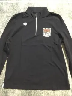 Item thumbnail for item 6f45a7b9-2d10-4002-837e-d8f9134a965d