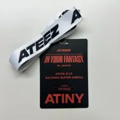 ATEEZ IN YOUR FANTASY VIP PASS