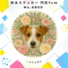 Item thumbnail for item 8cb6edc1-b3f3-4d67-ae7d-3e122febd745