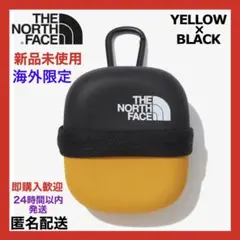 THE NORTH FACE 海外限定 カラビナ付き ミニポーチ イヤホンケース