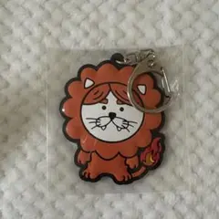 2025年最新】owv ライオンの人気アイテム - メルカリ