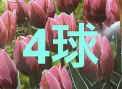 awe様 リクエスト 4点 まとめ商品