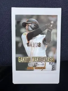 若林楽人チェキ