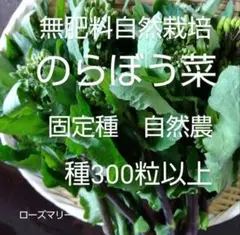 EARTHMAN様 リクエスト 3点 まとめ商品