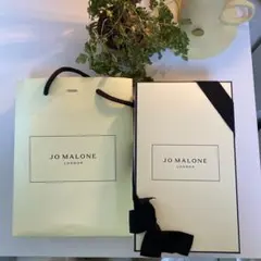 Item thumbnail for item 6b5fe196-2a9a-4236-8023-fcf3e28650bb