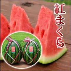 熊本県産】超大玉 スイカ「紅まくら」1玉 - メルカリ