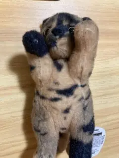 たっちぃZooにゃんこmini サビ猫
