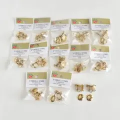 Parts Club イヤリング金具 12mm シャワー 10ペア ゴールド