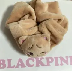 Item thumbnail for item 7156a0f3-0d3b-4637-ab47-781db0854df9