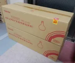 TOSHIBA 500W形屋外用散光型レフランプ 10個入り2ケース