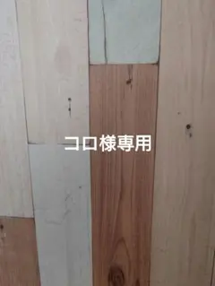 ■コロ様専用■