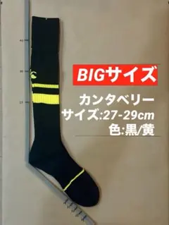 《カンタベリー/27-29cm》ラグビーソックス_275