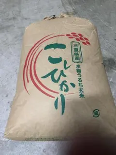 令和7年 福島県中通り産 コシヒカリ 玄米 20kg - メルカリ