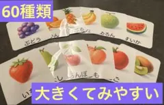 知育カード60枚セット★ イラストカード（動物・乗り物・果物・野菜・生活）